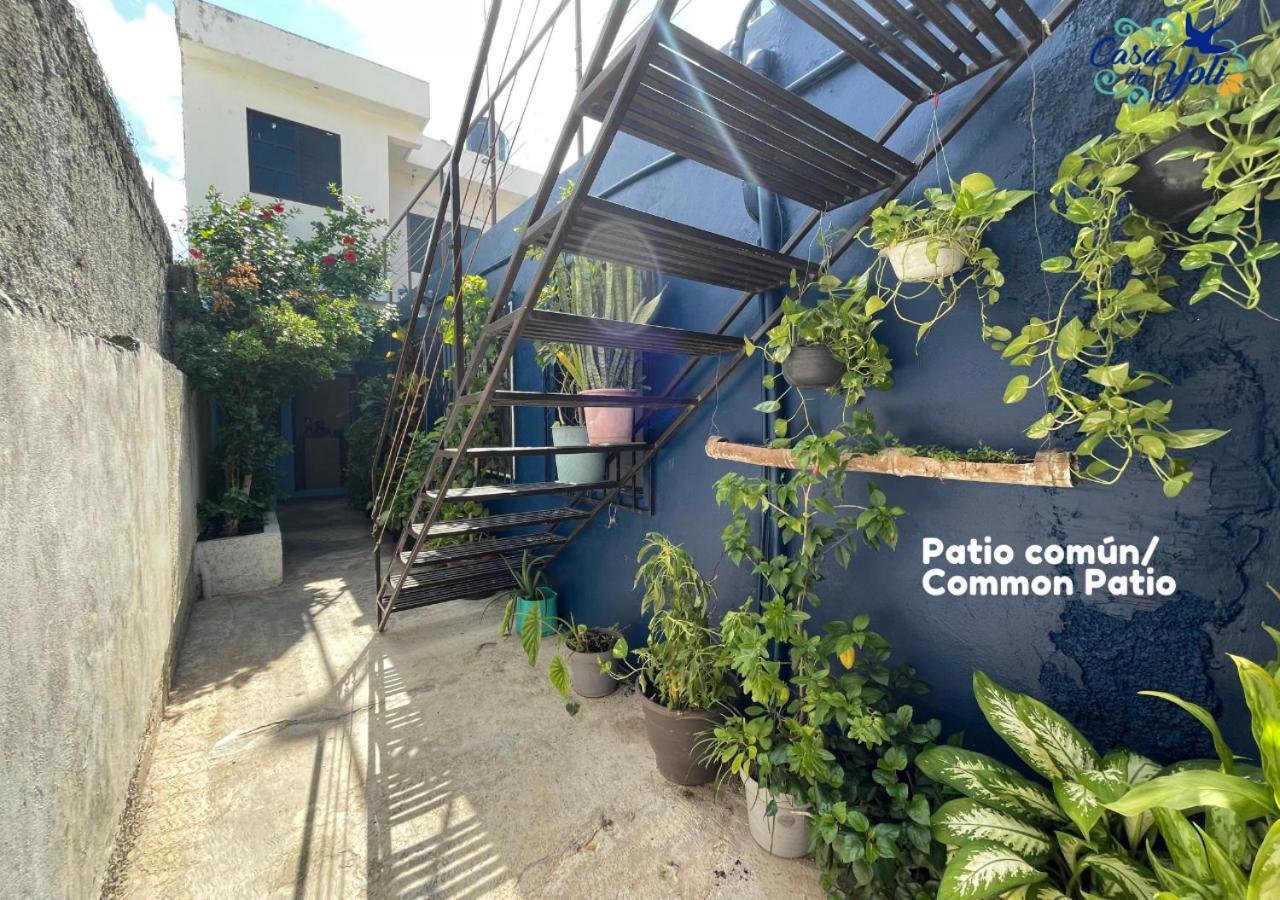 Appartamento Casa De Yoli Cozumel Esterno foto